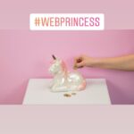 Вебкам студия Web-Princess